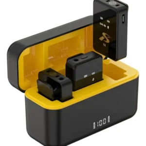 MICROFONO INALAMBRICO SX12